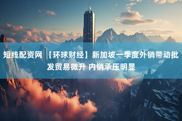 短线配资网 【环球财经】新加坡一季度外销带动批发贸易微升 内销承压明显