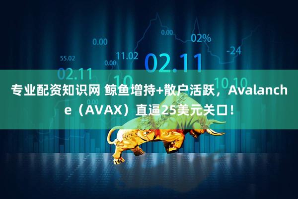 专业配资知识网 鲸鱼增持+散户活跃，Avalanche（AVAX）直逼25美元关口！